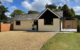 Springfield Lodge - Adorable New Forest 1-Bedroom Guest House