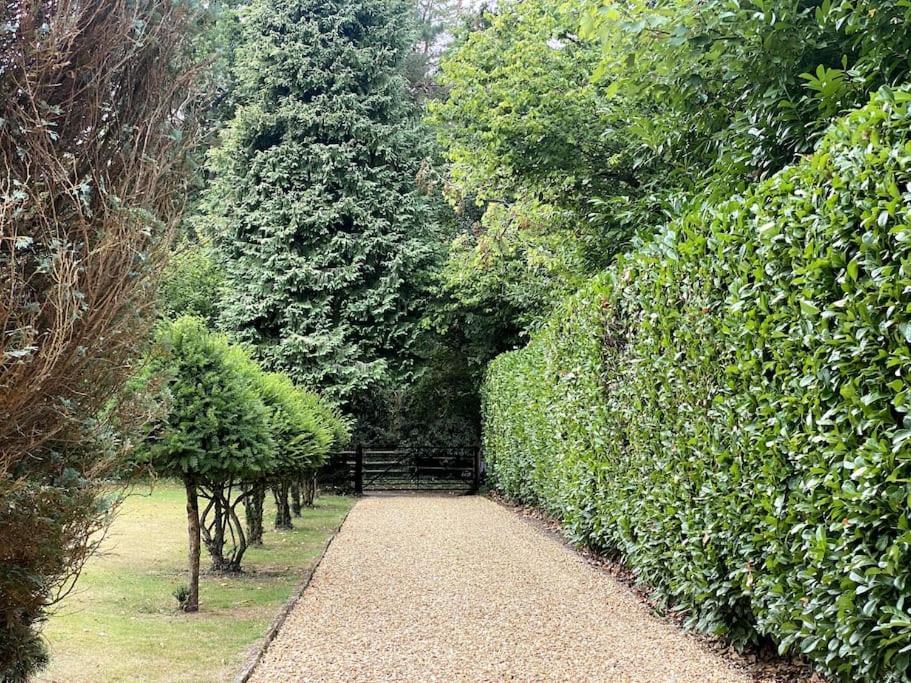 Springfield Lodge - Adorable New Forest 1-Bedroom Guest House Ringwood Exterior photo